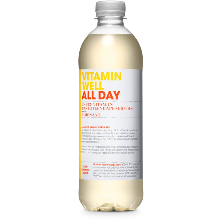 Vitamin Well All Day vitamiinijook 500ml + pant A