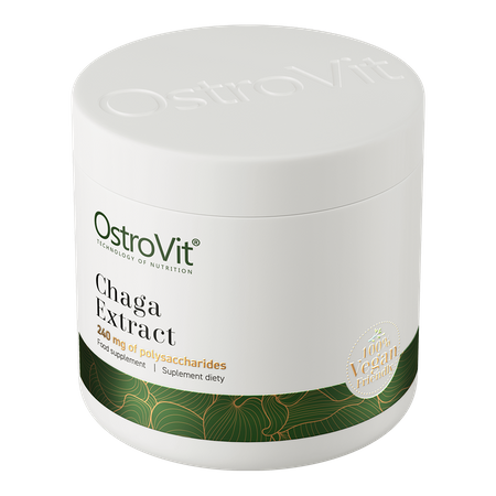 OstroVit Chaga Extract 240mg 50g — Powder view 2