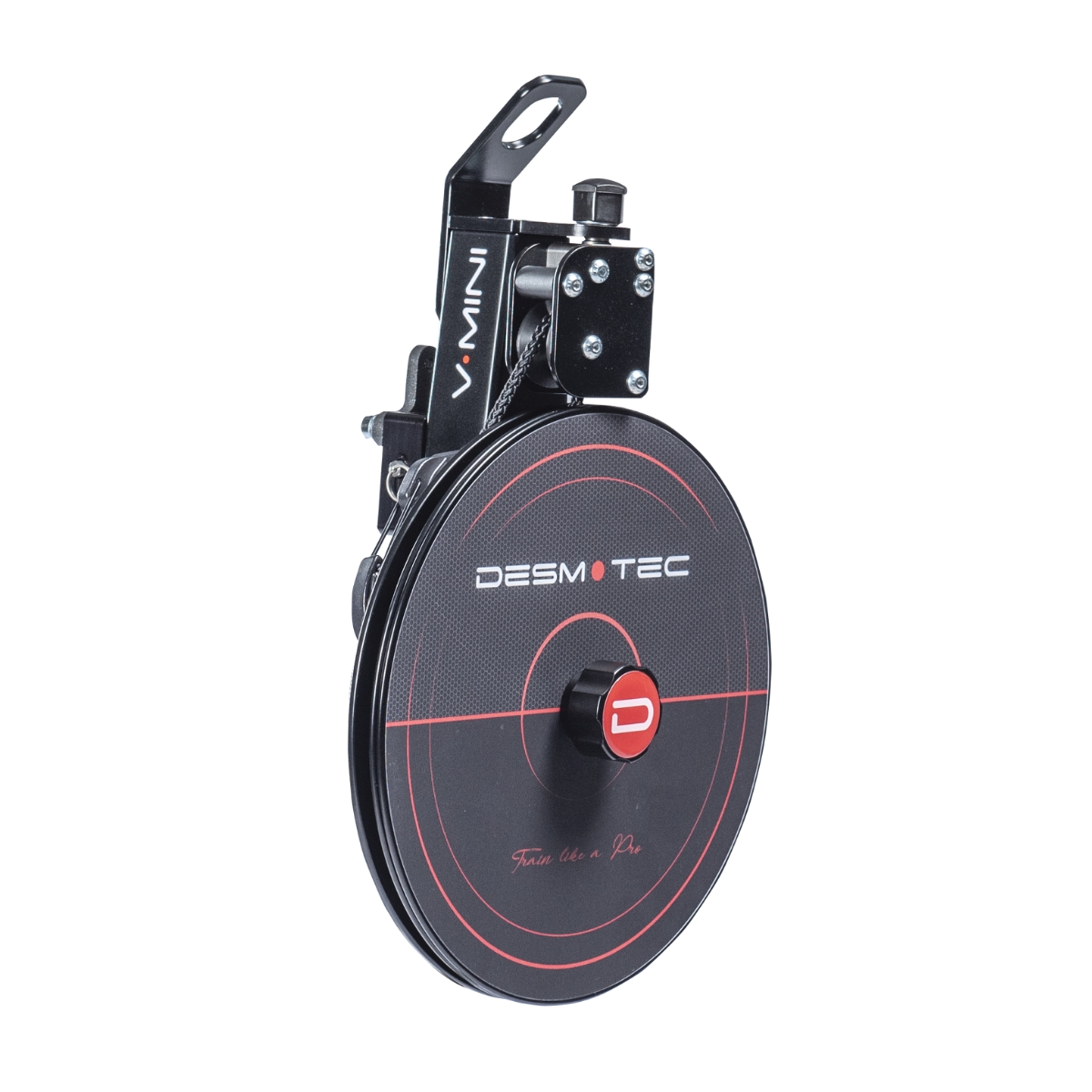 Desmotec V.MINI Pro